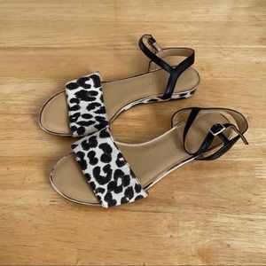 Talbots leopard print micro wedge sandal